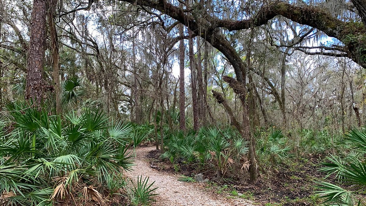 Nature trail in Fish Hawk community